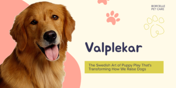 Valplekar
