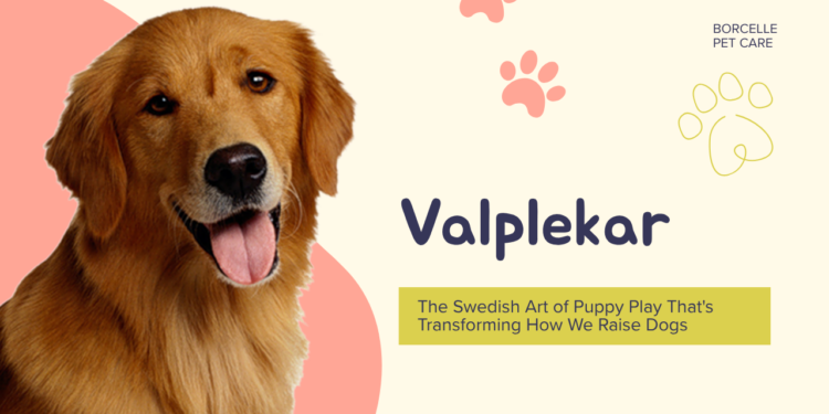 Valplekar
