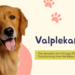 Valplekar
